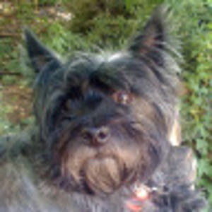 Meet your Posher, Jan